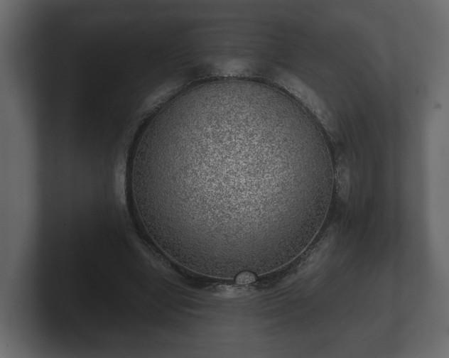 X0000103160442200808291453