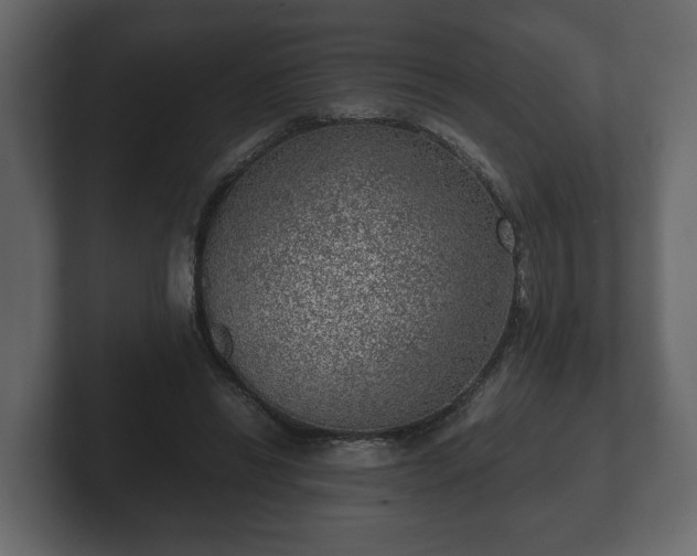 X0000103160446200808291453