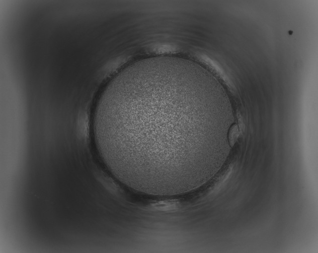 X0000103160447200808291453