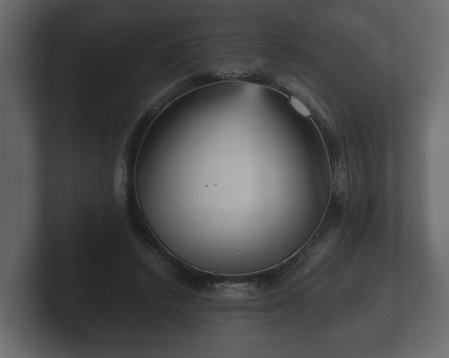 X0000103160448200808291453