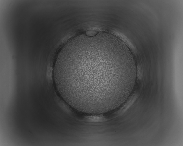 X0000103160449200808291453