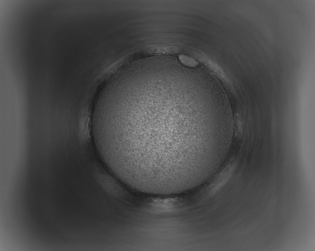 X0000103160450200808291453