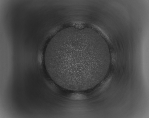 X0000103160451200808291453