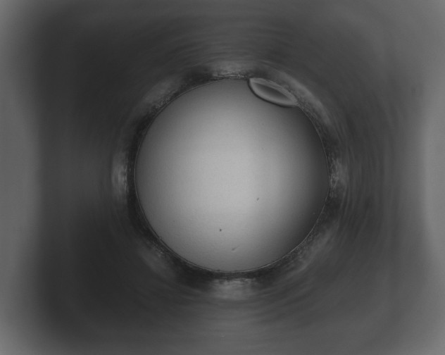 X0000103160452200808291453