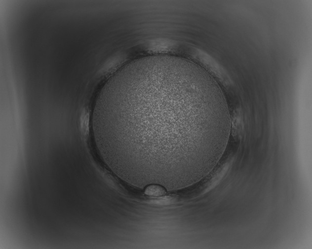 X0000103160454200808291453