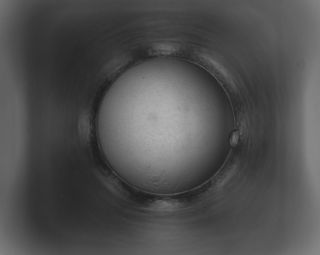 X0000103160455200808291453