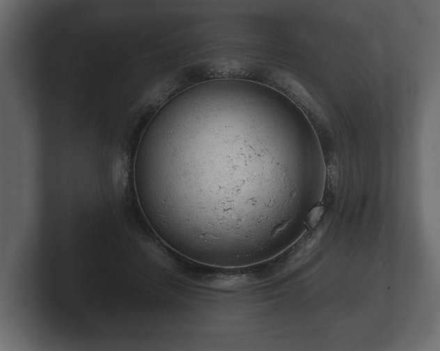X0000103160458200808291453