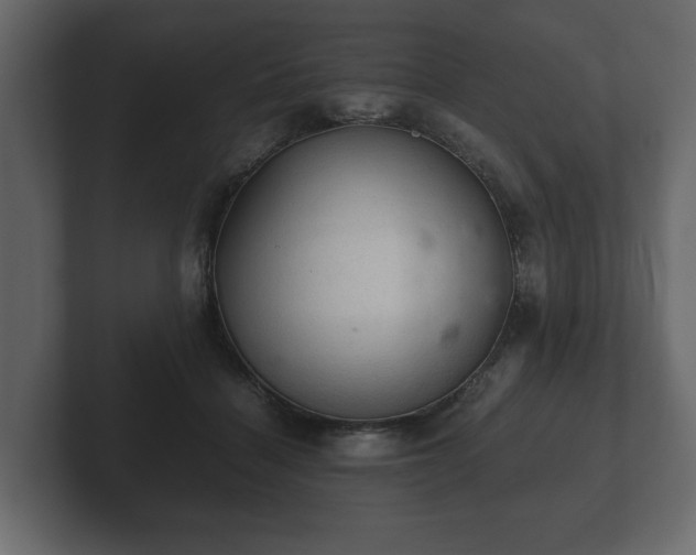 X0000103160460200808291454