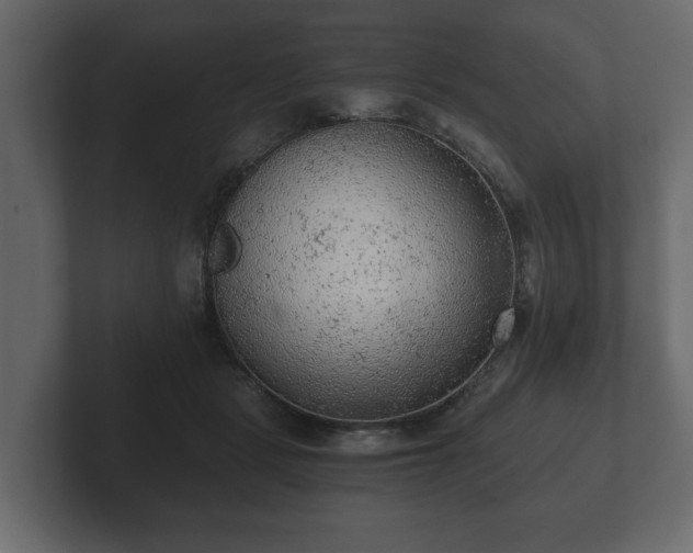 X0000103160461200808291454