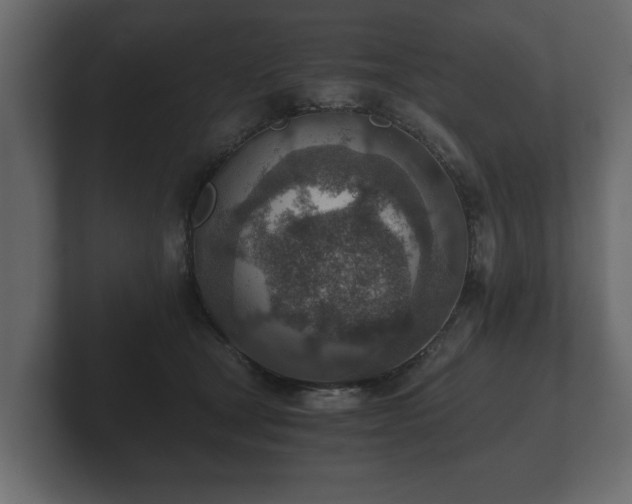 X0000103160465200808291454