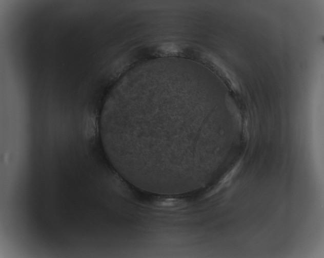 X0000103160467200808291454