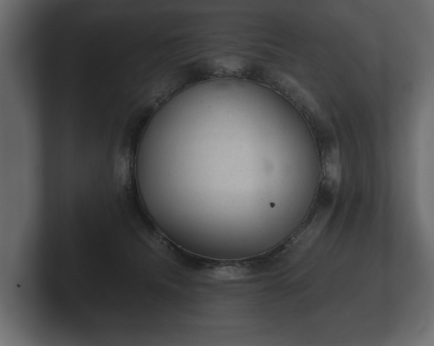X0000103160468200808291454