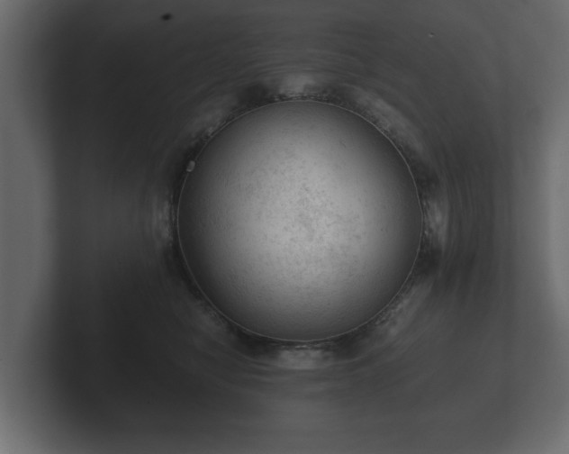 X0000103160470200808291454