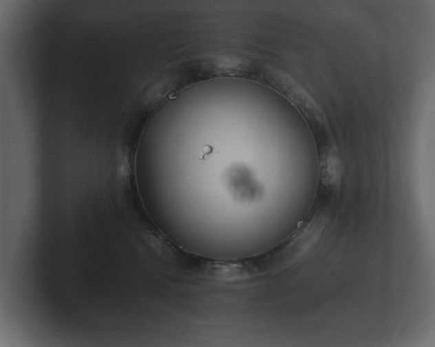 X0000103160472200808291454