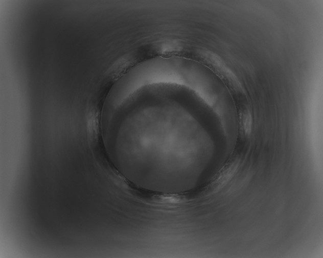 X0000103160475200808291454