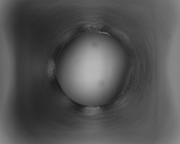 X0000103160480200808291454