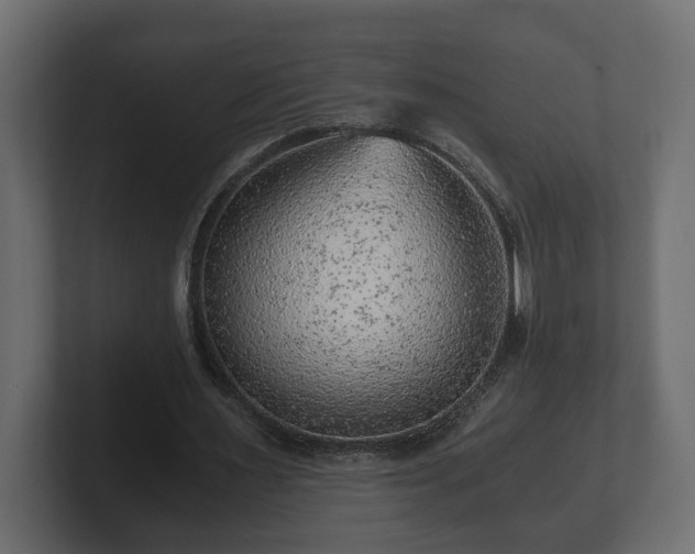 X0000103160483200808291453