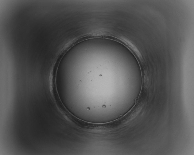 X0000103160485200808291453