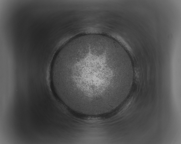 X0000103160487200808291453