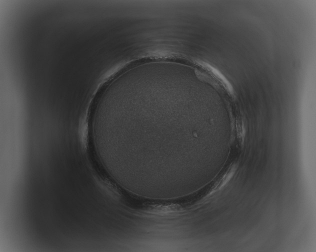 X0000103160488200808291453
