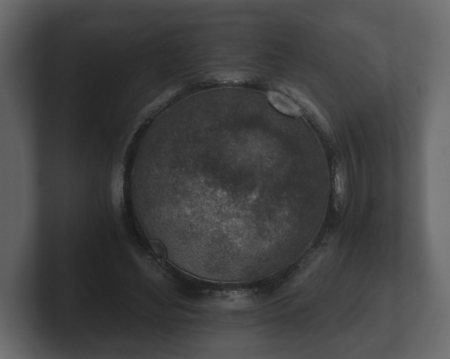 X0000103160492200808291453