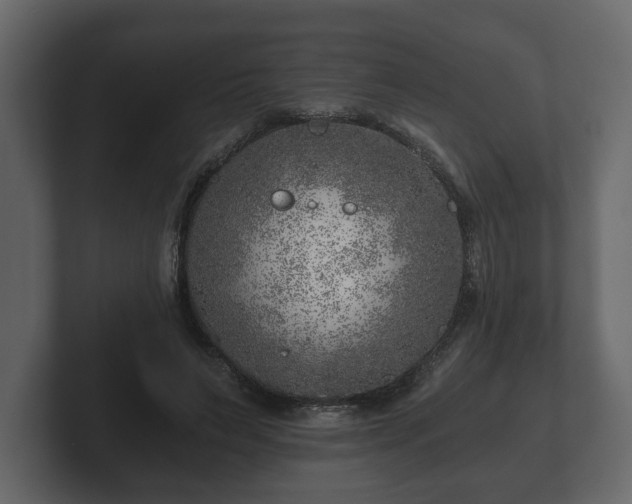 X0000103160495200808291453