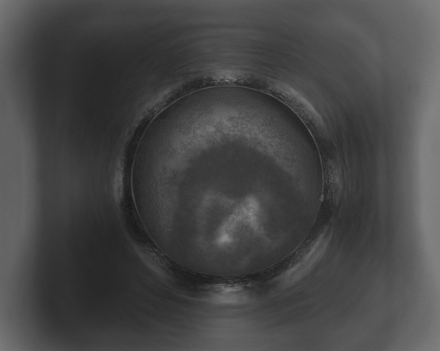 X0000103160496200808291453