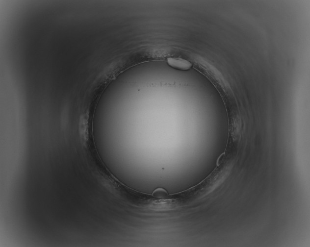 X0000103160497200808291453