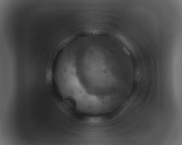 X0000103160500200808291453