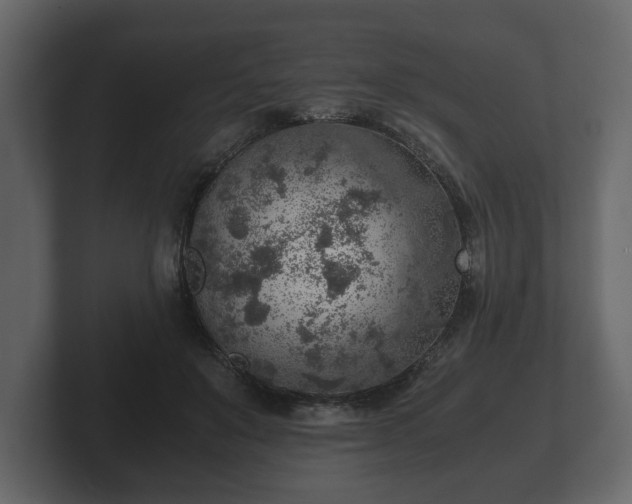 X0000103160503200808291453