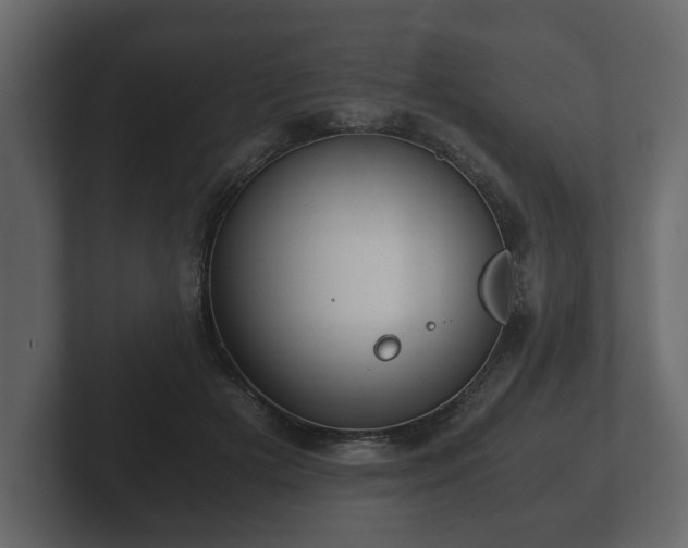 X0000103160505200808291453