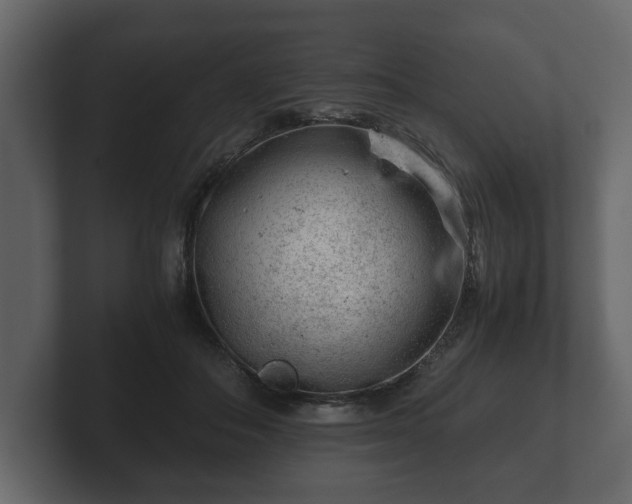 X0000103160506200808291453