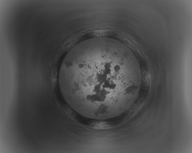 X0000103160507200808291453