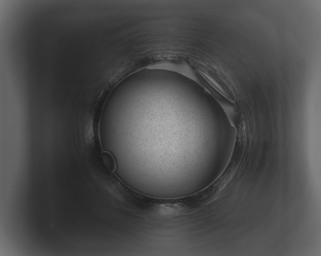 X0000103160508200808291453