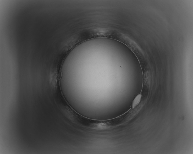 X0000103160509200808291453