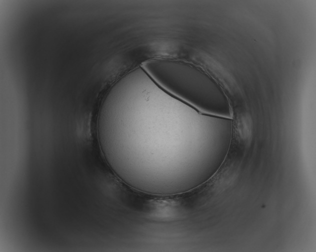X0000103160512200808291453