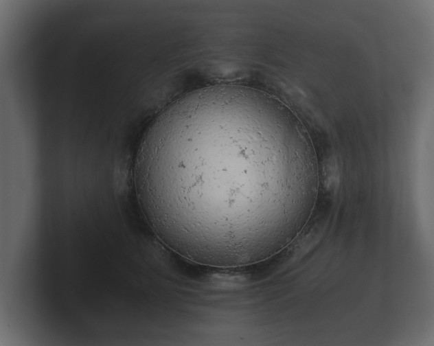 X0000103160515200808291453