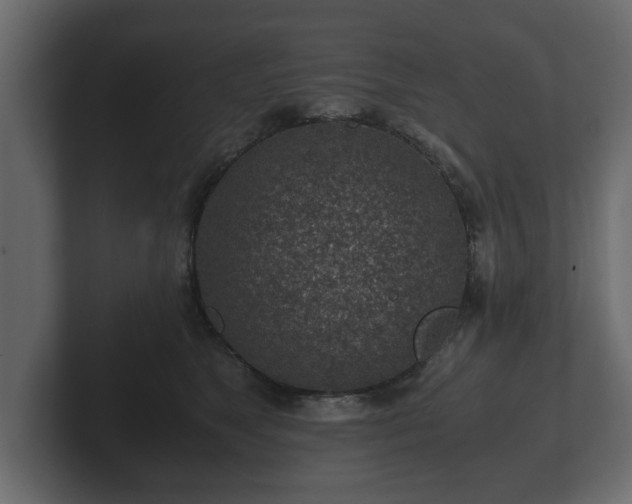 X0000103160517200808291453