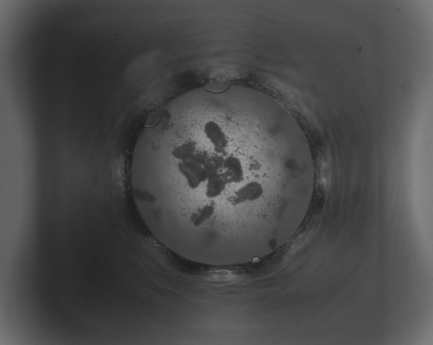 X0000103160519200808291453