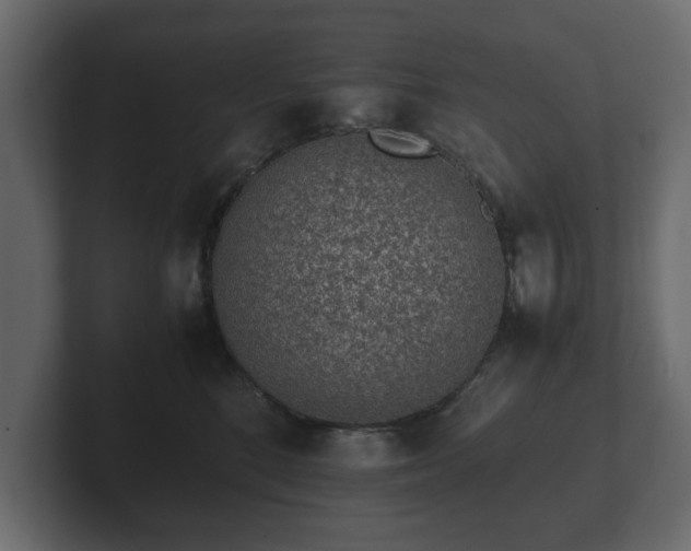 X0000103160520200808291453
