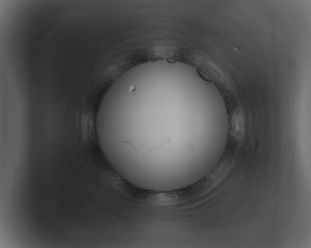 X0000103160522200808291453