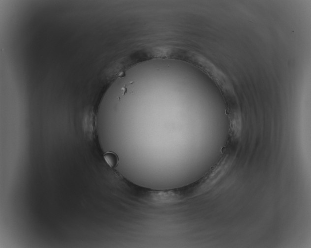 X0000103160525200808291453