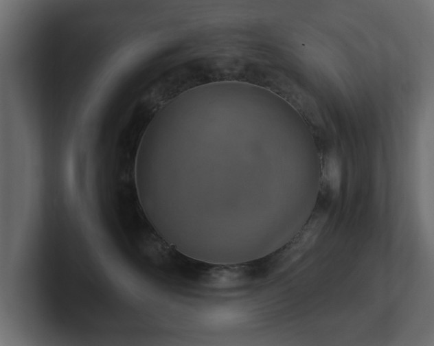 X0000103160526200808291453