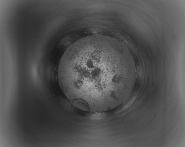 X0000103160527200808291453
