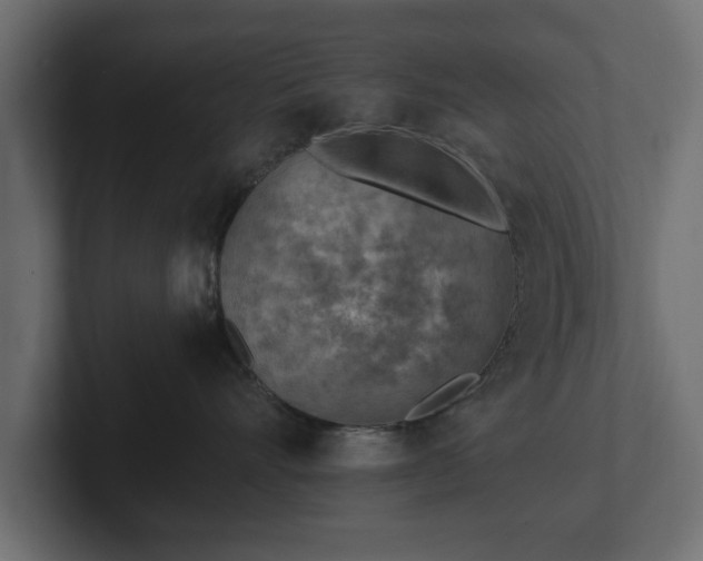 X0000103160528200808291453
