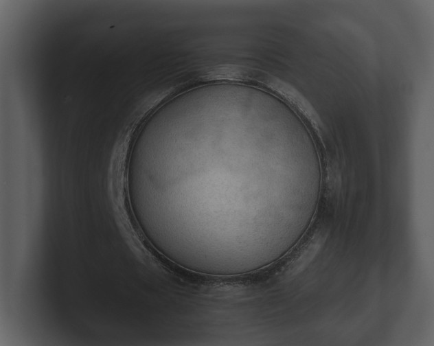 X0000103160529200808291452