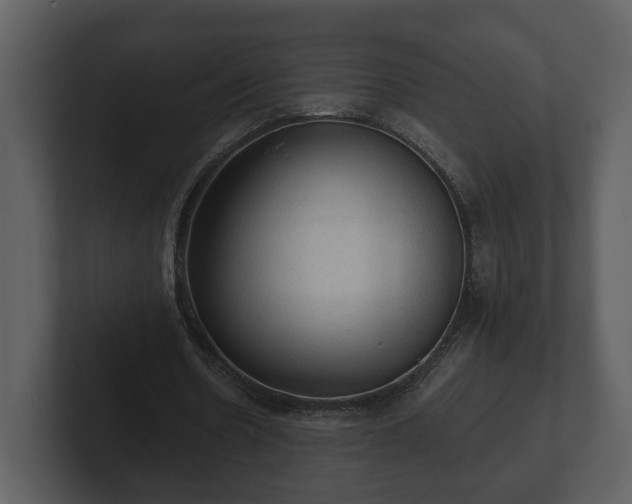 X0000103160530200808291452