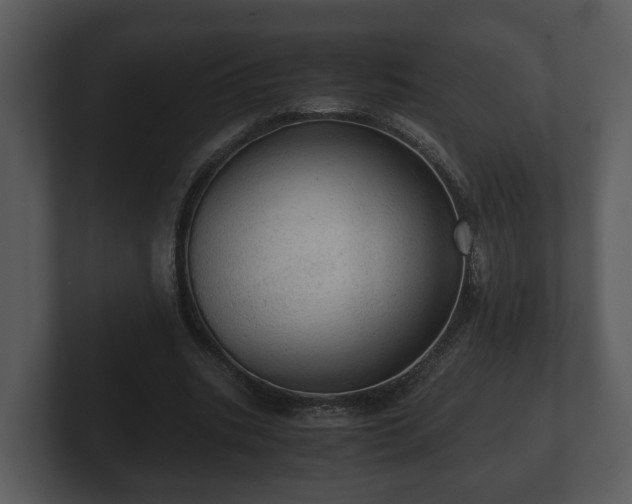 X0000103160535200808291452