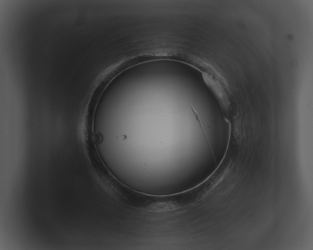 X0000103160536200808291452