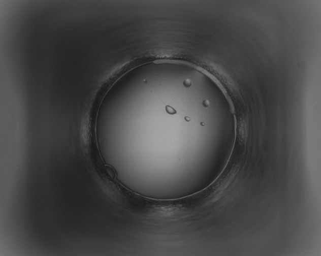 X0000103160540200808291452